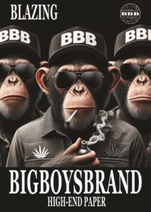 Bigboysbrand plakat/poster