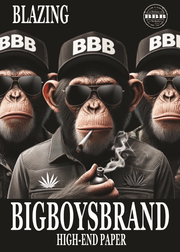 Bigboysbrand plakat/poster